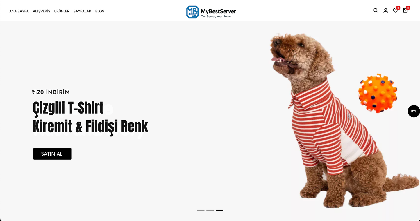 Dog Accessories Theme