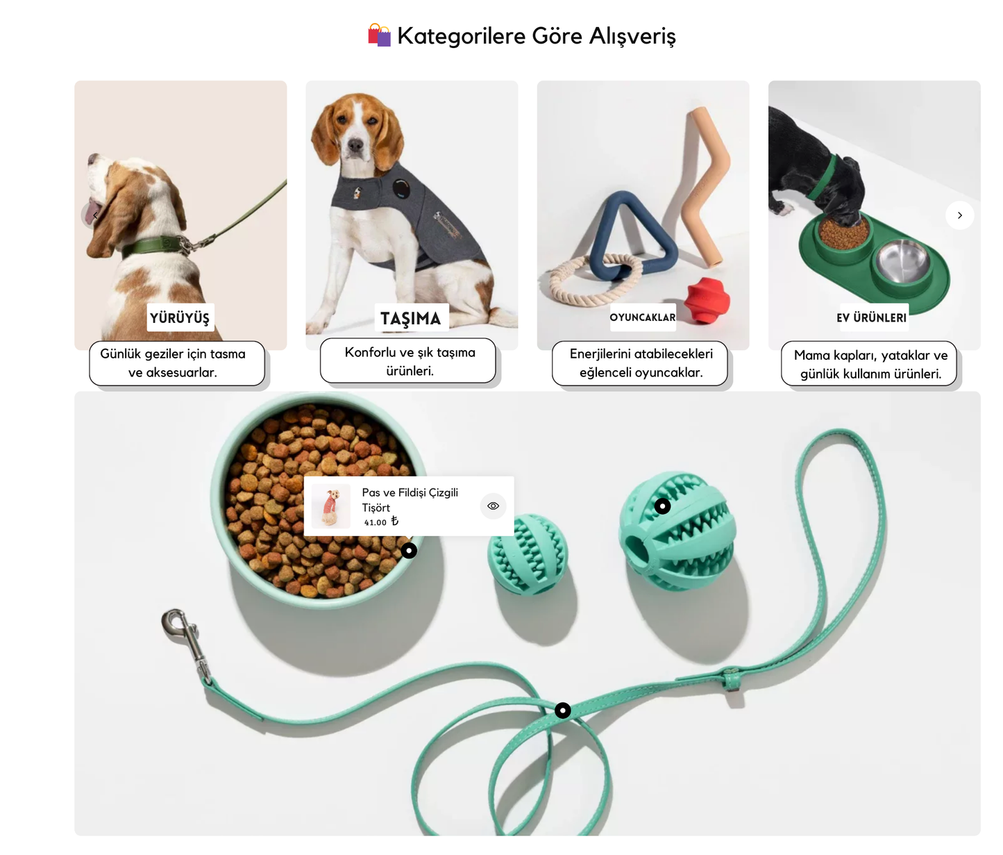 Dog Accessories Theme