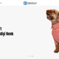 Dog Accessories Theme