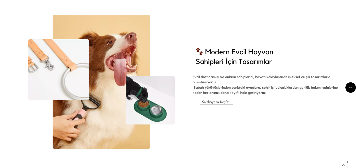 Dog Accessories Theme