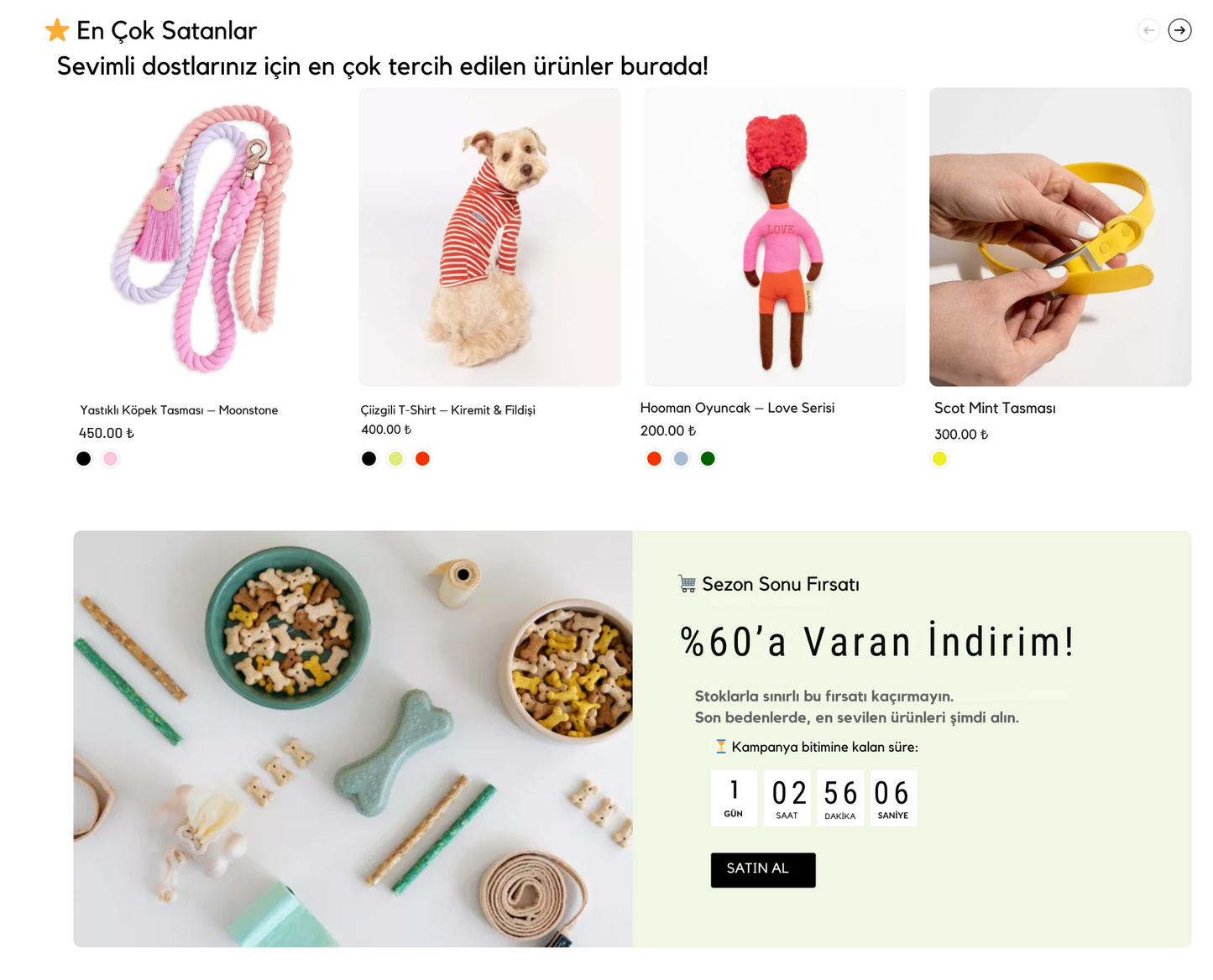 Dog Accessories Theme