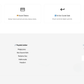 Dog Accessories Theme