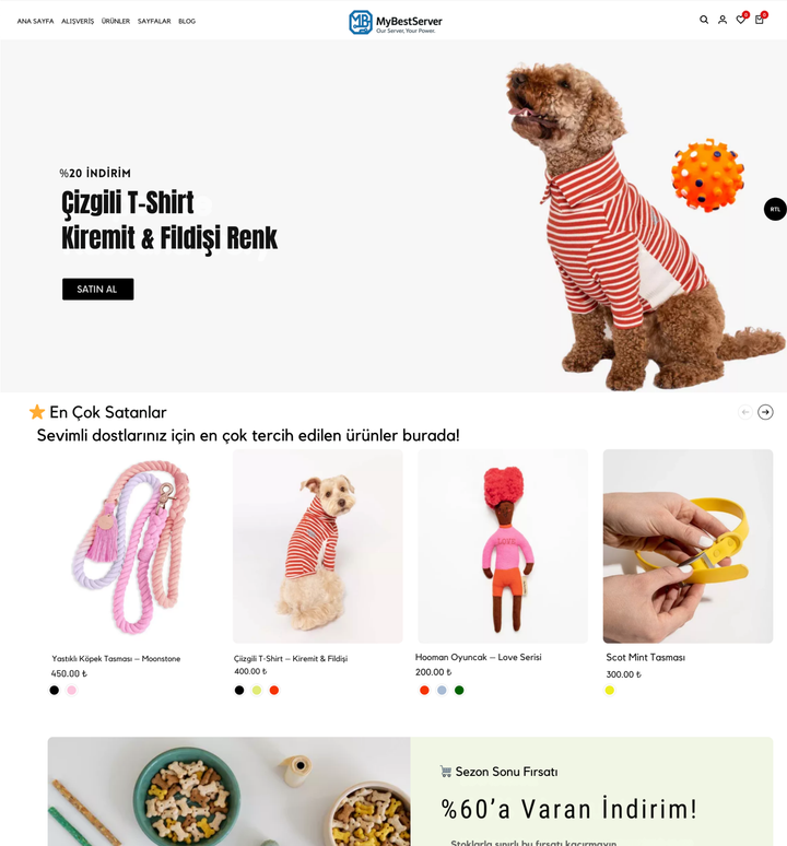 Dog Accessories Theme