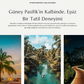 Hotel Booking Theme