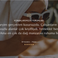 Hotel Booking Theme