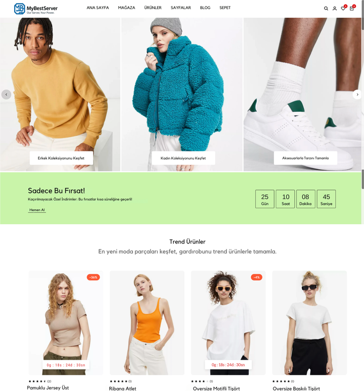 Classic E-Commerce Theme
